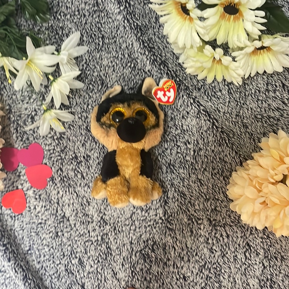 This is a beanie boo! she’s a small little dog that loves to play!